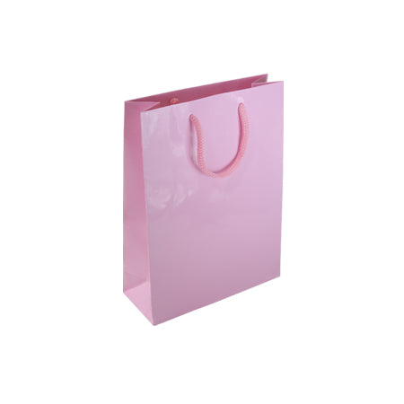 SPArty Girl Loot Bags - Sparty Girl
